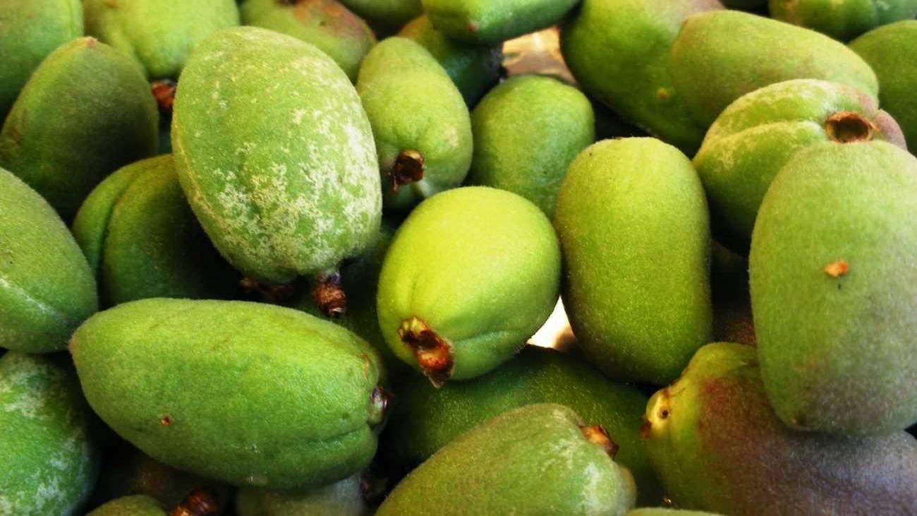 Çağla meyvesinin faydaları nelerdir? Çağla nasıl tüketilir? Çağla tuzla beraber yenir mi?